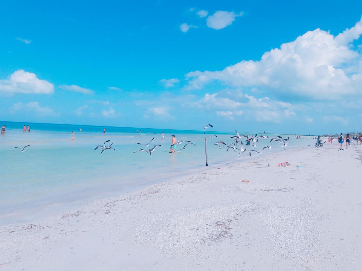 Hostel La Holbox  Eksteriør bilde