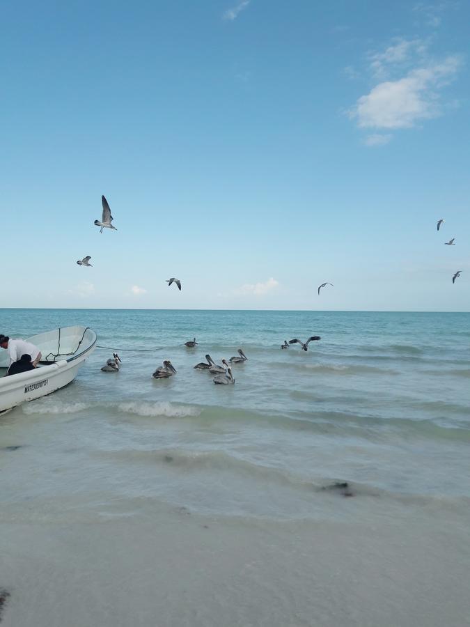 Hostel La Holbox  Eksteriør bilde